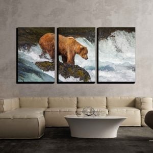 Beautiful Bear Wall Art - Black, Brown and Grizzly Bears - A is for ...