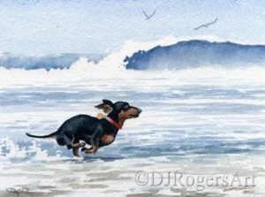 Dachshund At the Beach Dog Art Print Signed by Artist DJ Rogers