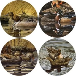 coasterstone duck pairs coasters