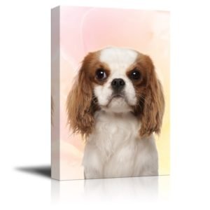 cute poppy dog on floral background