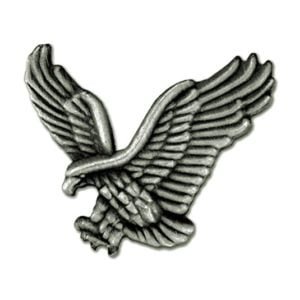 soaring eagle lapel pin