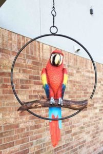 parrot-macaw hanging in ring