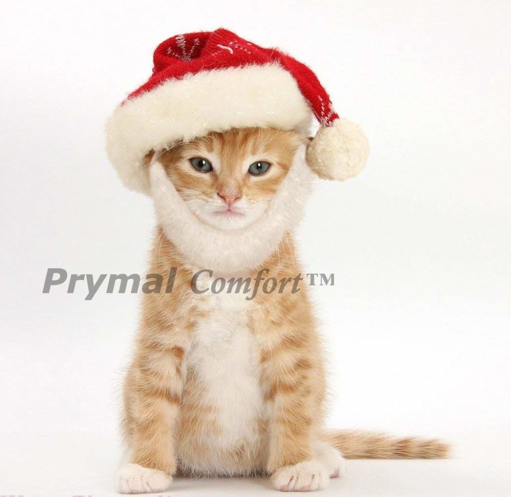 santa claus hat and beard costume for cat