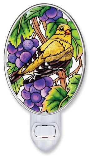 goldfinch bird night light