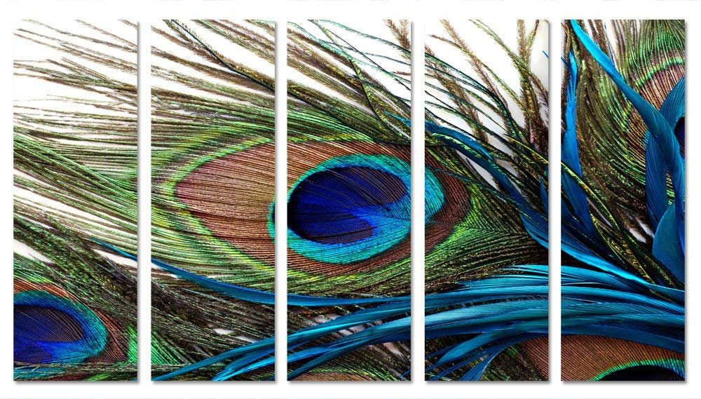 peacock tail feathers