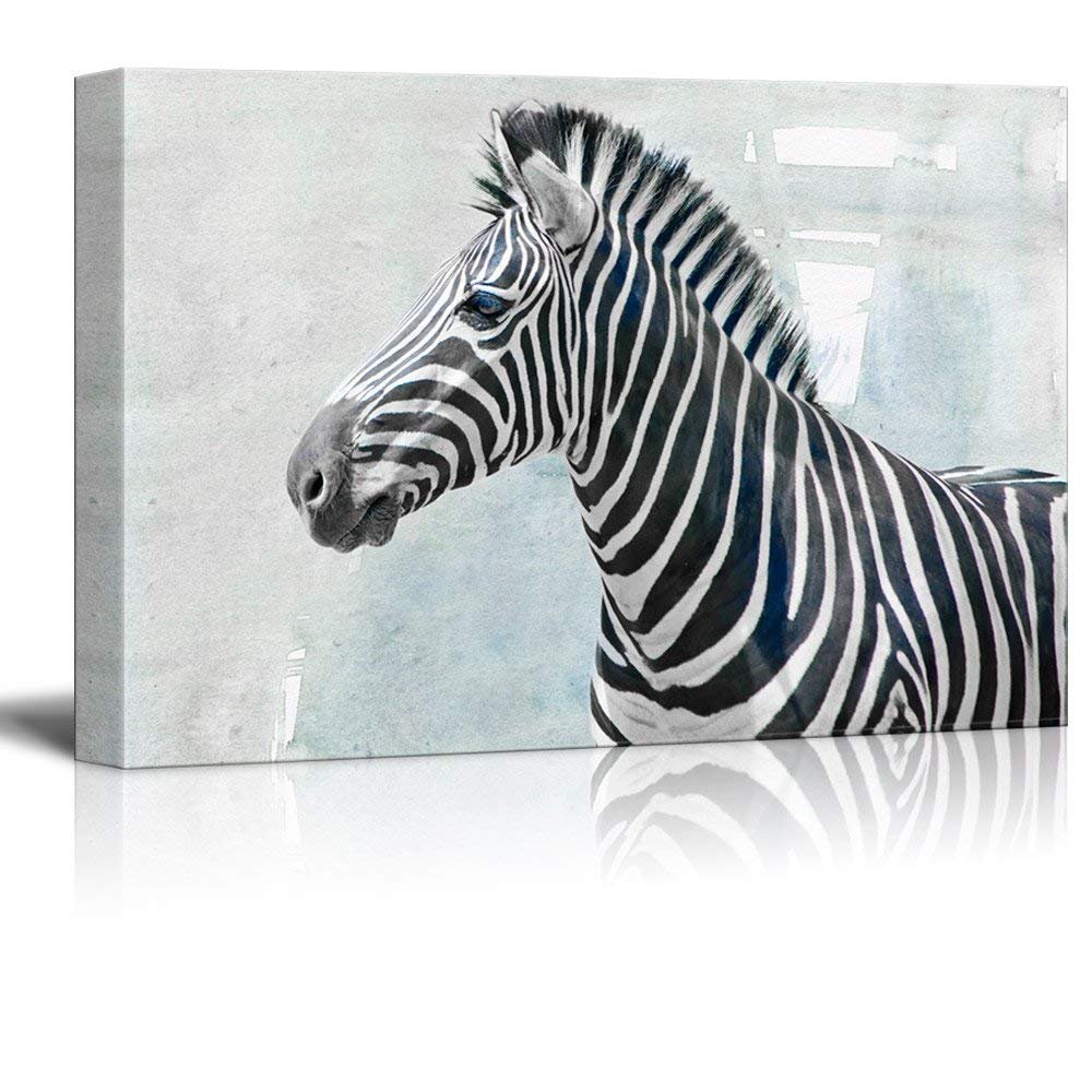 zebra on grunge background from wall26