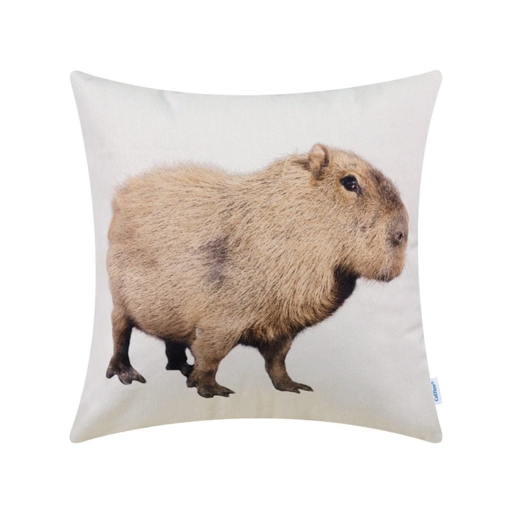 capybara throw pillow cover