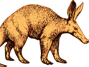 aardvark gifts and treats