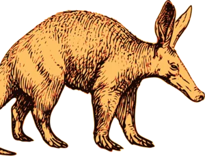 aardvark gifts and treats