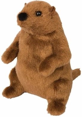 Mr. G for Groundhog plushie