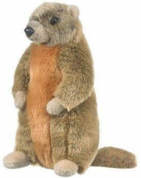 yellow bellied marmot stuffed toy