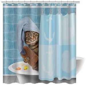 cat taking shower shower curtain