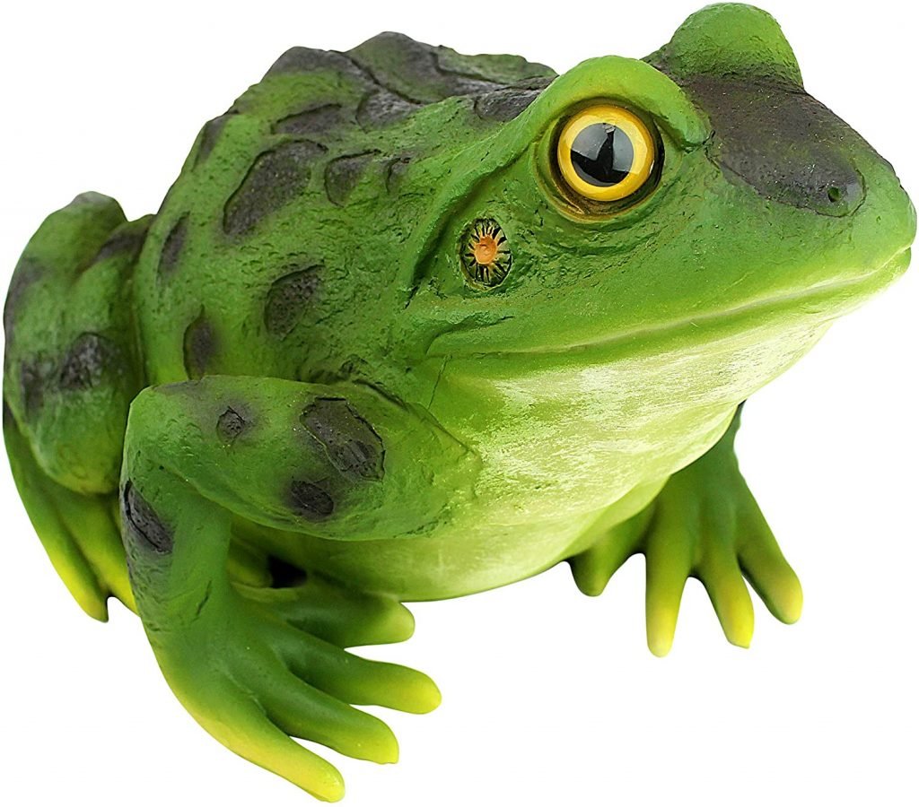 design toscano realistic frog sculpture - bullfrog