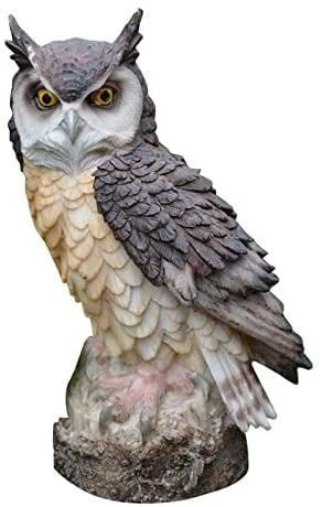 chenyu collectible realistic owl statue