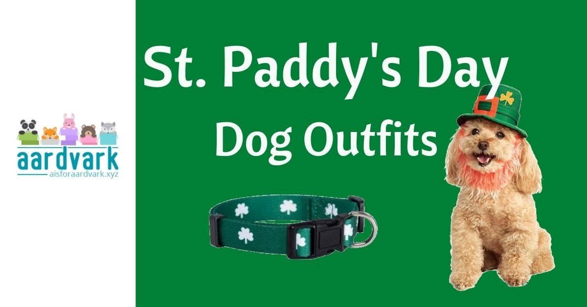 dress yuur dog for st. patrick's day