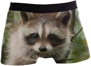 raccoon underwear - boxer briefs