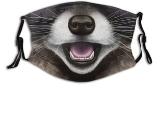 raccoon face mask