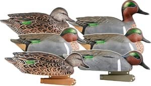 green-winged teal duck decoys, pack of 4 drakes and 2 hens