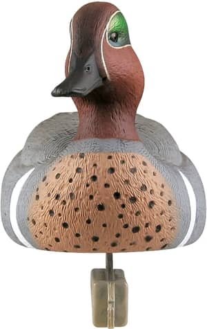 green-winged teal decoy, head-on view of drake