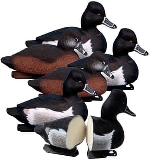 ringneck duck decoys, set up 6, shows one sliced in half to reveal interior foam