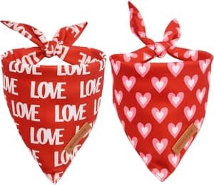 love and valentine's heart dog bandanas