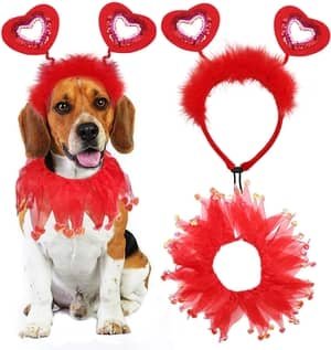 valentine's day dog headband and frilly collar
