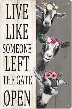 Sign featuring three goats and text "live like someone left the gate open"