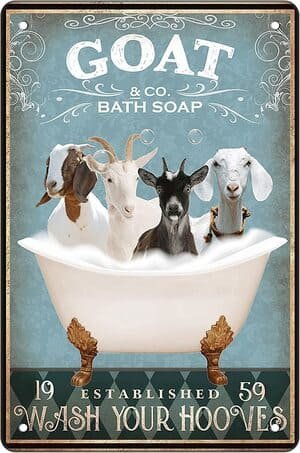 vintage advertising sign from Goat & Co. with four goats in a clawfoot tub