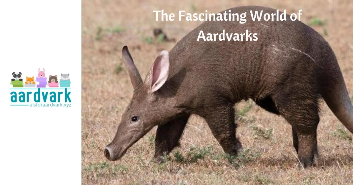 aardvark fully body photo walking on brown grass; text says "the fascinating world of aardvarks"