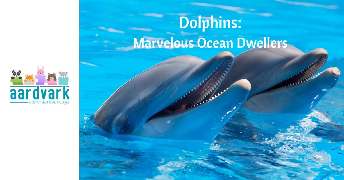 two bottlenose dolphins with their heads sticking above the water. Text reads, Dolphins, Marvelous Ocean Dwellers