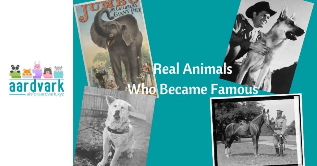 A is for aardvark logo on left; text reads Real Animals who Became Famous, with images of Jumbo the Elephant, Rin Tin Tin, Sandy the War Horse, and Hachiko the Dog
