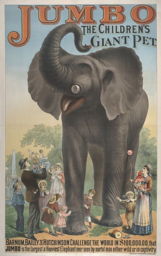 jumbo the elephant poster