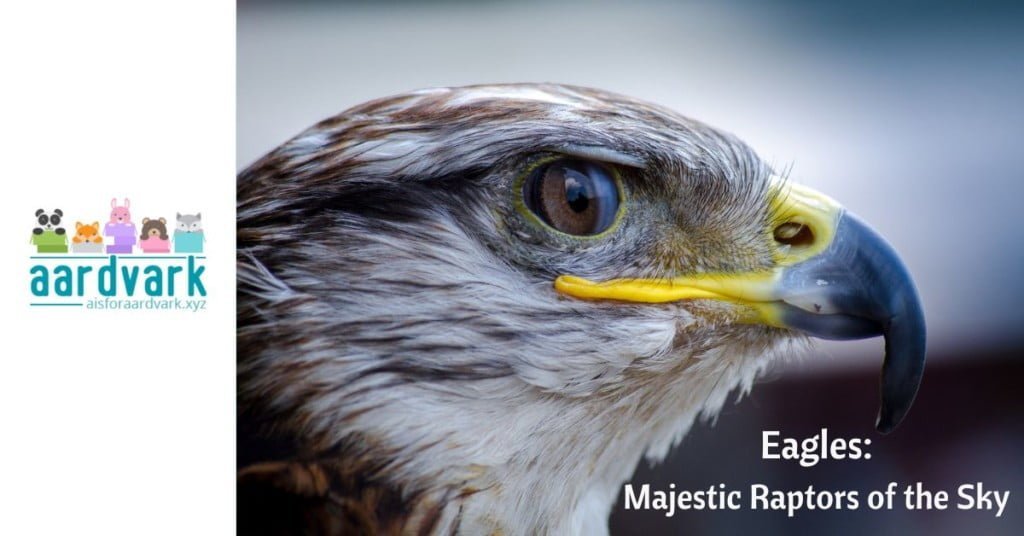 golden eagle in profile, website logo on the left. Text on right reads, Eagles, Majestic Raptors of the Sky