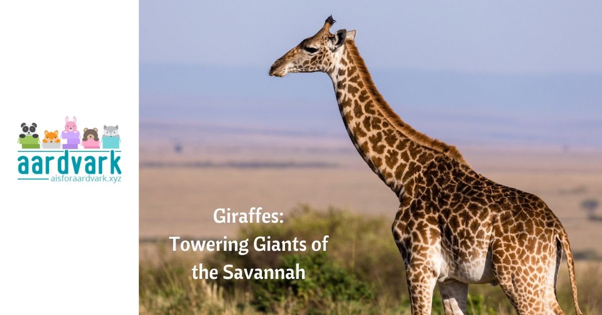 a girafee in profile standing on the savannah. text reads, Giraffes: Towering Giants of the Savannah
