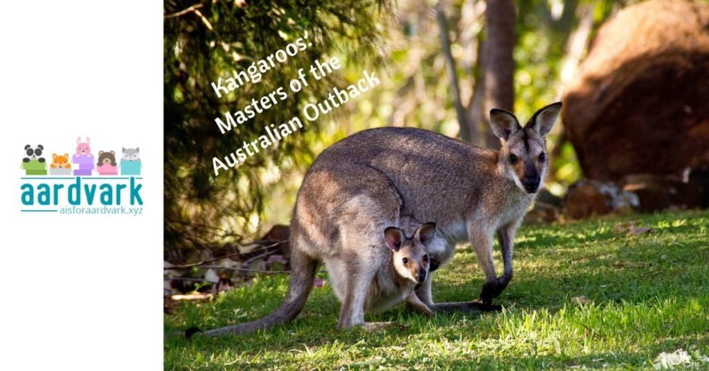 a kangaroo with a joey in her pouch. both look toward the camera. text reads, Kangaroos: Masters of the Australian Outback