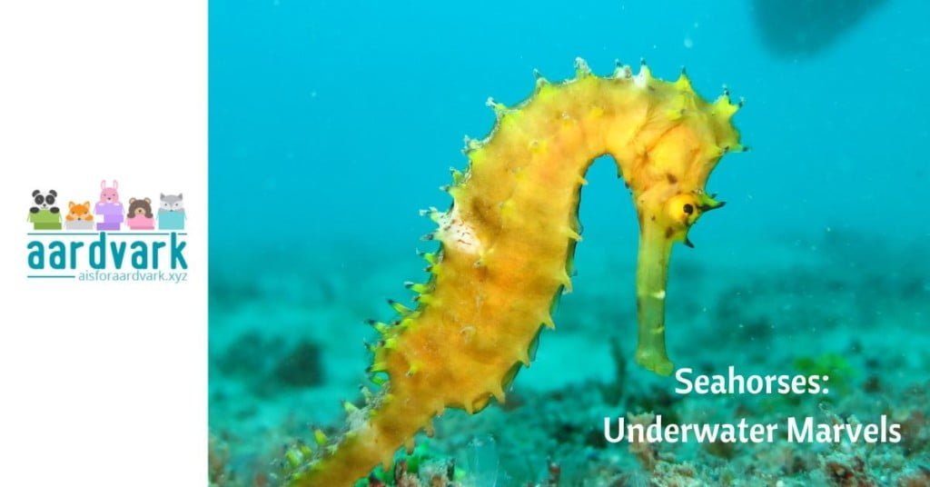 a yellow seahorse on the floor of the sea. text reads, Seahorses, Underwater Marvels