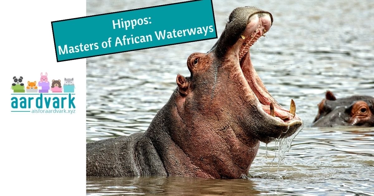 Two hippos a in a river, the one in the foreground has its mouth wide open while the other is submerged except for its eyes and ears. Text reads, Hipps: Masters of African Waterways