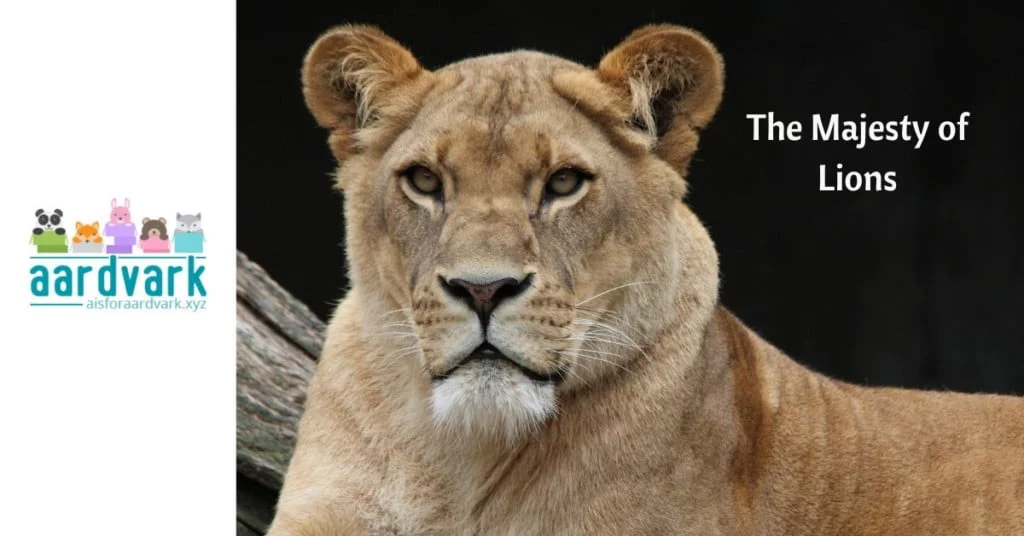 A lioness, lying on the ground, face turned toward the camera. Text reads, the majesty of lions