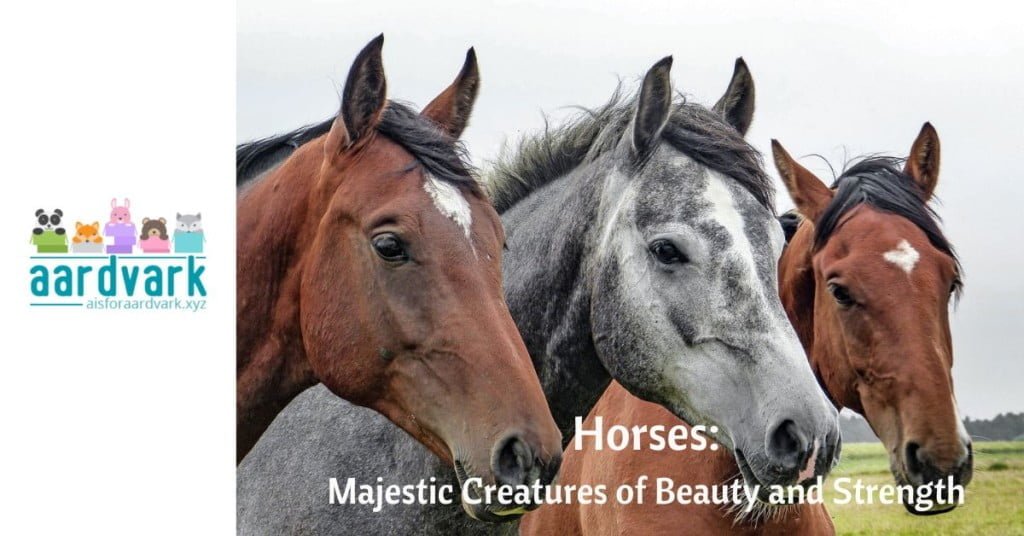 Three horses with their heads aligned toward the camera. Text reads, Horses: Majestic Creatures of Beauty and Strength