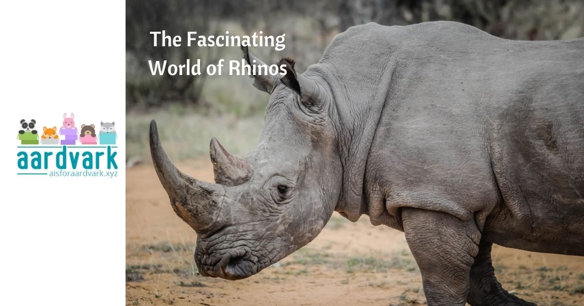 a rhinoceros in profile. Text reads, the fascinating world of rhinos