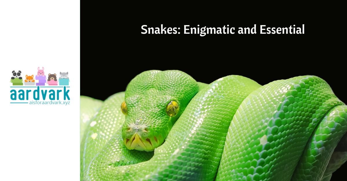 An emerald boa curled on a branch. Text reads, Snakes, Enigmatic and essential