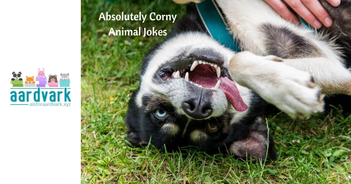 a dog rolled over on its back that appears to be laughing. Text reads, absolutely corny animal jokes