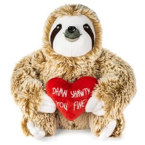 a sloth stuffed toy, holding a valentine's heart with the words "damn shawty you fine"