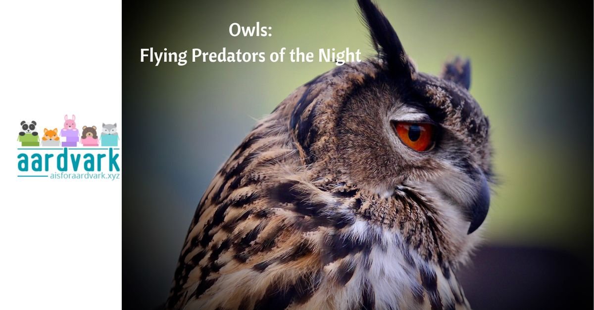 an owl facing to the side. text reads, "Owls: Flying Predators of the Night"