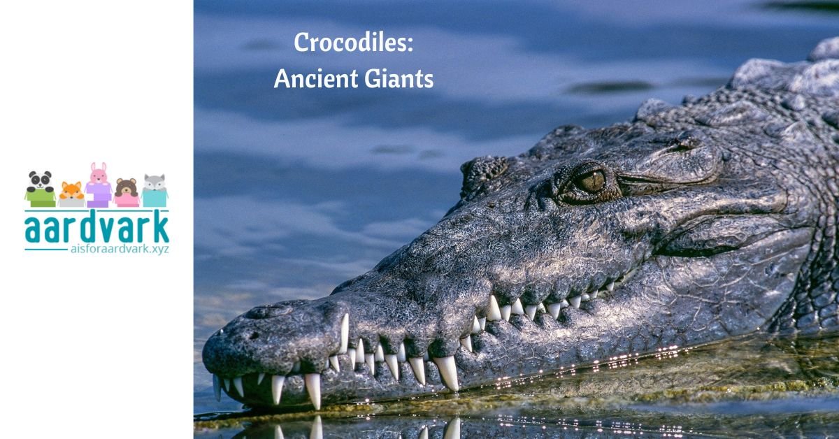 a large crocodile with only the head showing above peaceful water