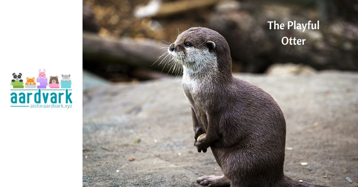 a small river otter stands on its hind legs on a rock. Text reads, the playful otter