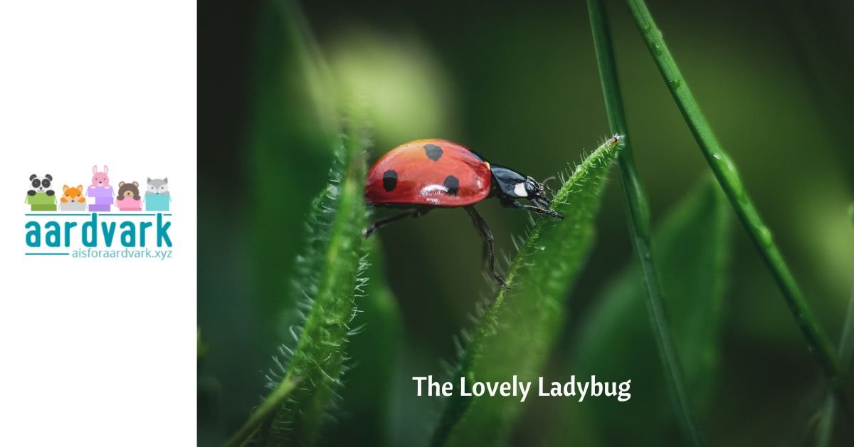 a ladybug crawling across blades of grass. text reads, the lovely ladybug