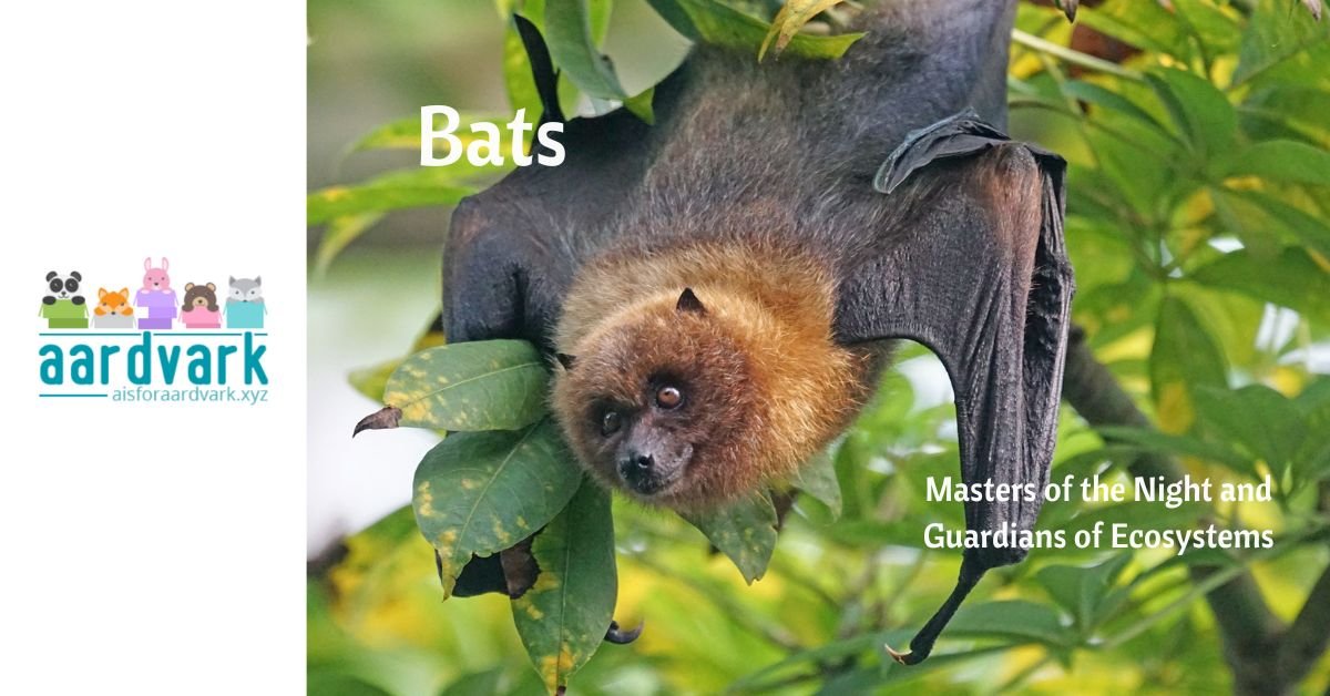 a flying fox bat hanging upside down from a tree. text reads "bats: Masters of the Night and Guardians of Ecosystems"