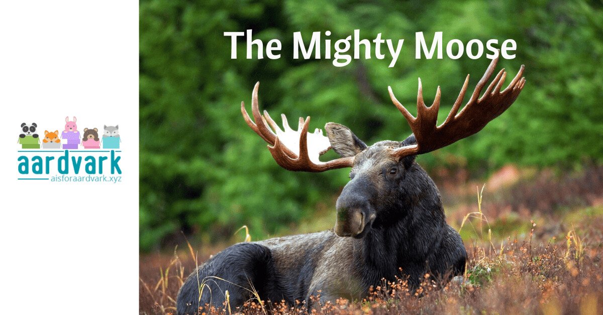 a bull moose standing in a field